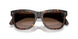 300213 - Tortoise - Gradient Brown