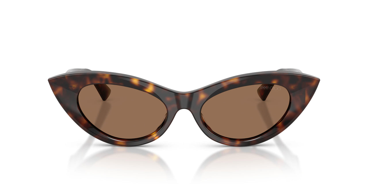 500273 - Tortoise - Dark Brown
