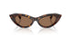 500273 - Tortoise - Dark Brown