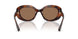 512073 - Tortoise - Brown Solid