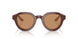 596953 - Brown - Brown