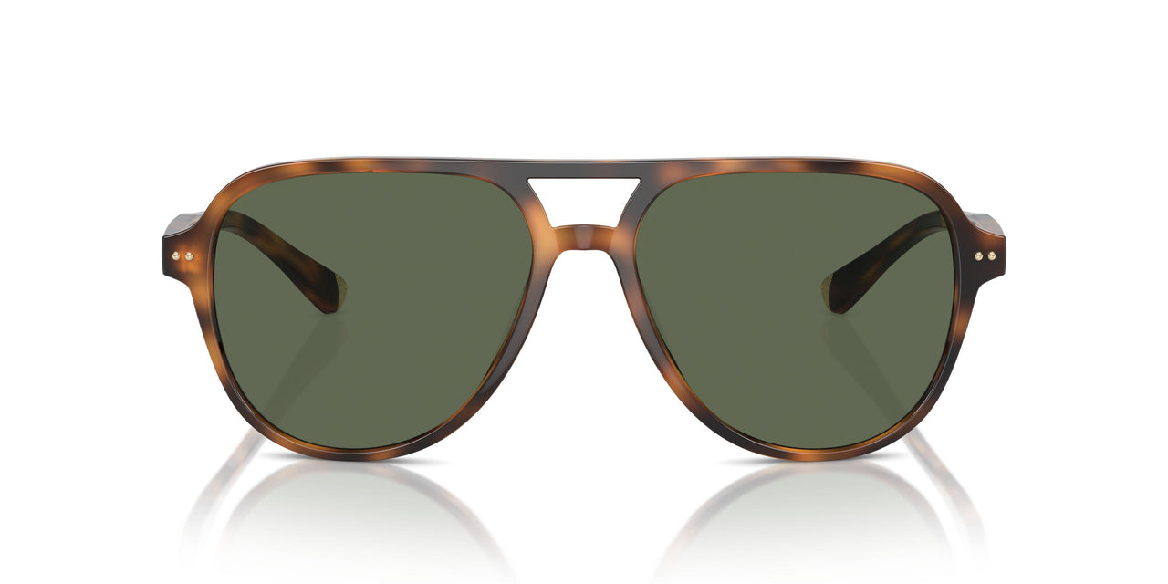 616171 - Tortoise - Solid Green
