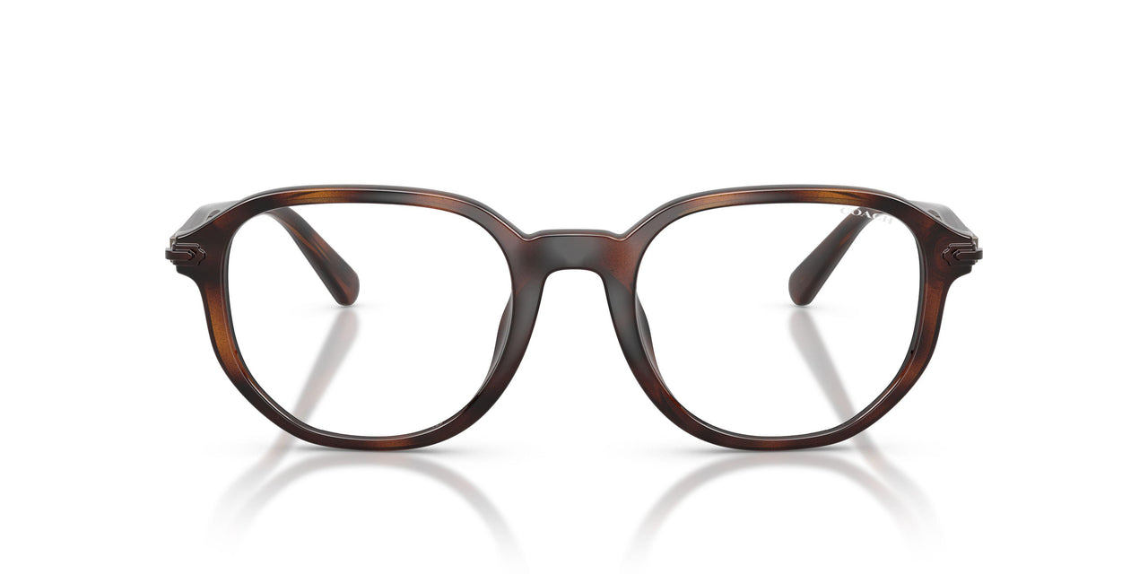 512073 - Tortoise - Brown Solid