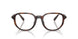 512073 - Tortoise - Brown Solid