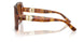 338013 - Tortoise - Brown Gradient