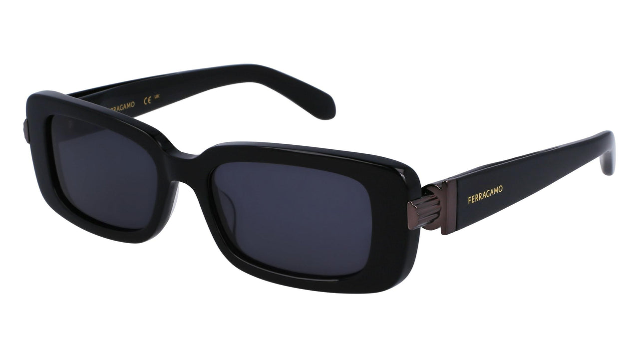 Salvatore Ferragamo SF1105S Sunglasses