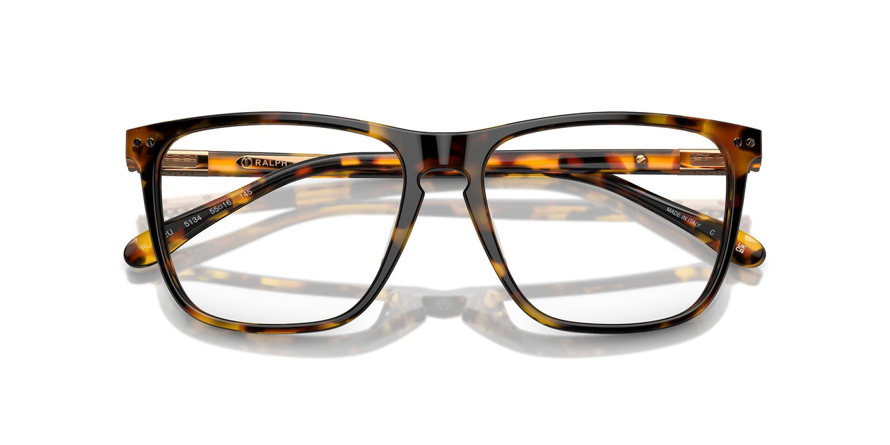 5134 - Tortoise