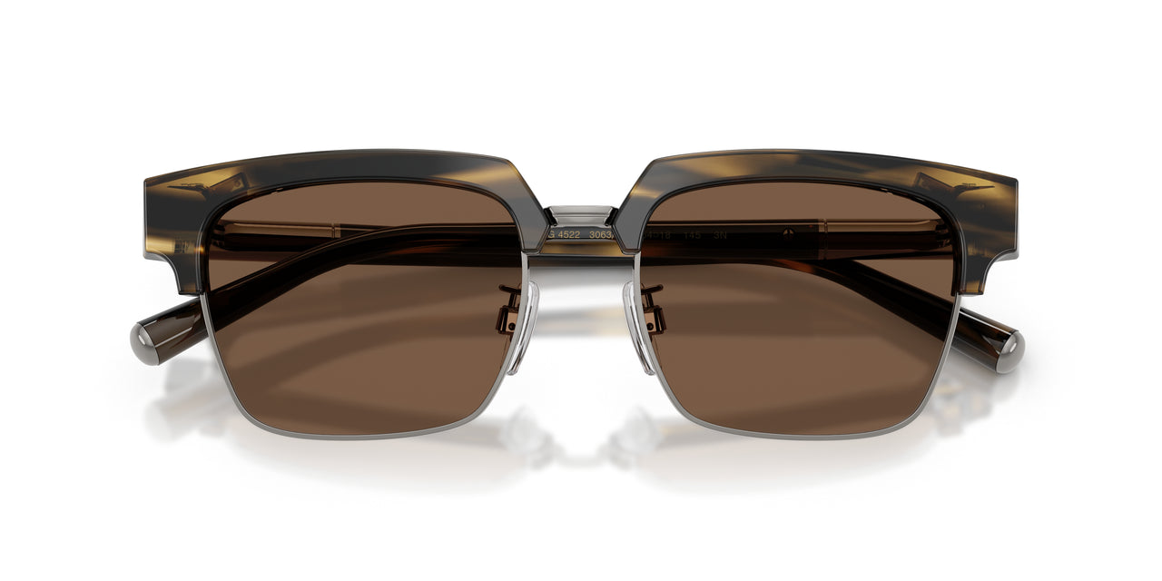 306373 - Tortoise - Brown