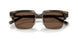 306373 - Tortoise - Brown
