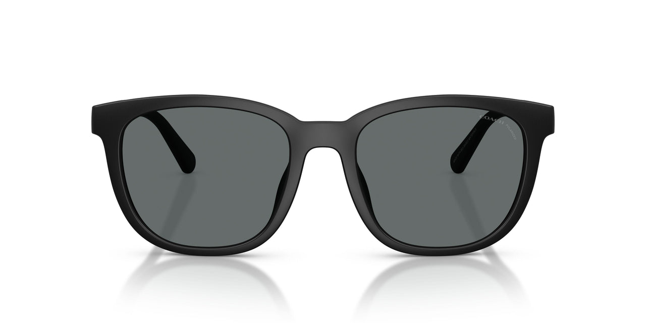 500281 - Black - Grey Solid Polar