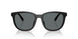 500281 - Black - Grey Solid Polar