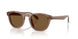 646973 - Brown - Brown