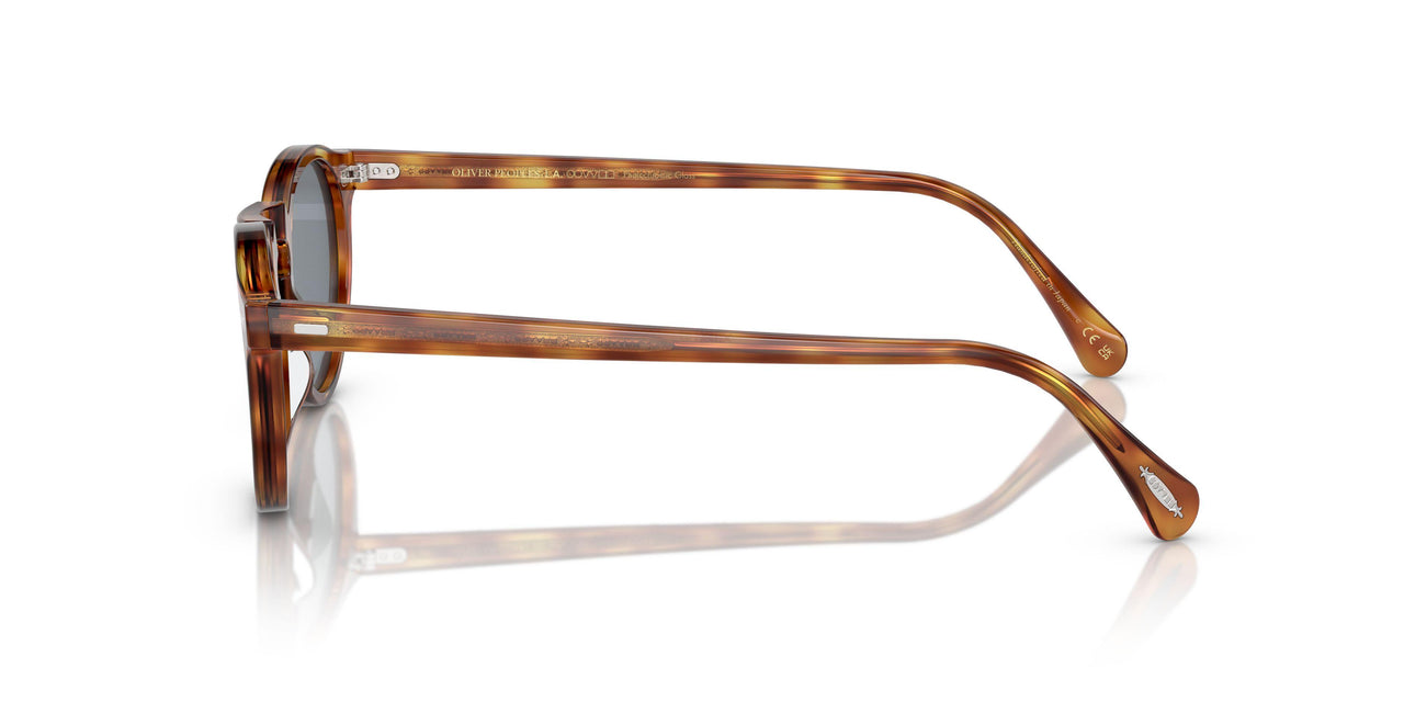 1483R8 - Havana - Indigo Photochromic