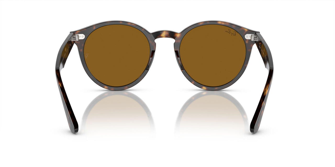 902/33 - Tortoise - Brown