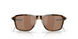 946904 - Havana - Prizm Tungsten Polarized