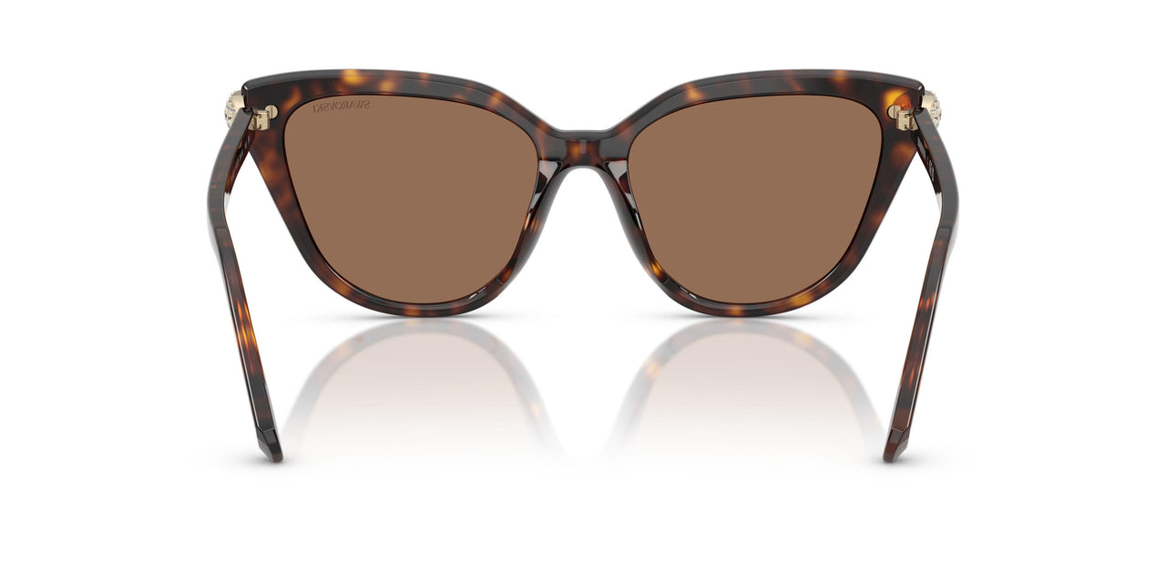 100273 - Tortoise - Dark Brown