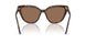 100273 - Tortoise - Dark Brown