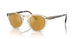 1485W4 - Brown - Brown Mirror Gold