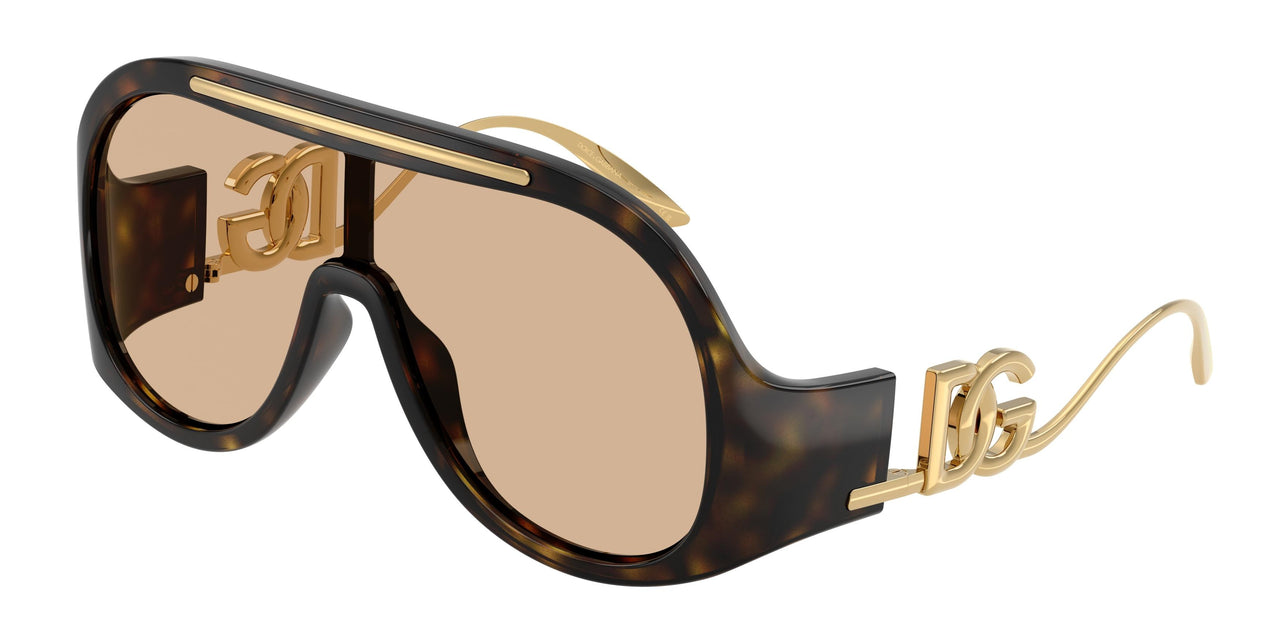 Dolce & Gabbana 6202 Sunglasses