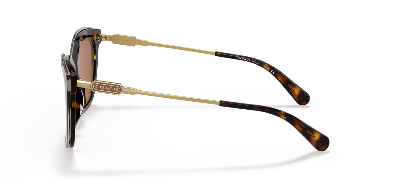 512073 - Havana - Brown