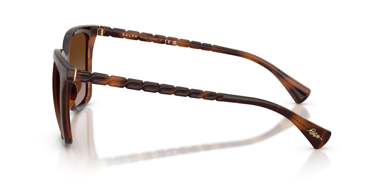 614913 - Tortoise - Brown Gradient