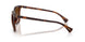 614913 - Tortoise - Brown Gradient
