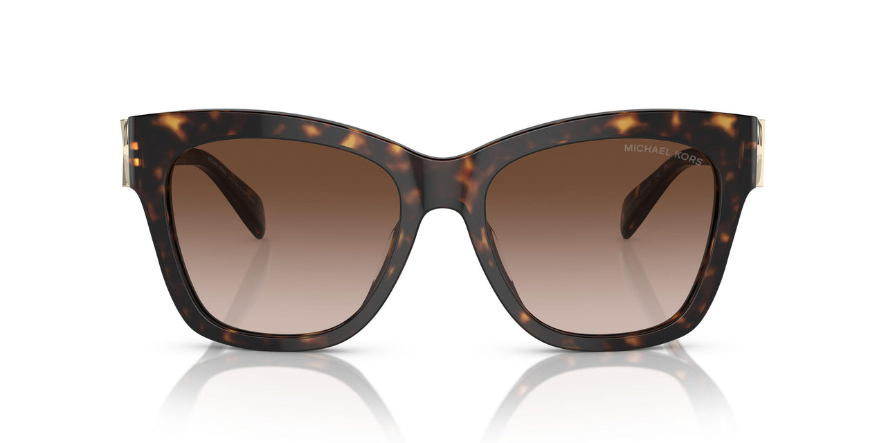 300613 - Tortoise - Brown Gradient