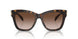 300613 - Tortoise - Brown Gradient