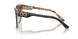 321773 - Tortoise - Brown Gradient