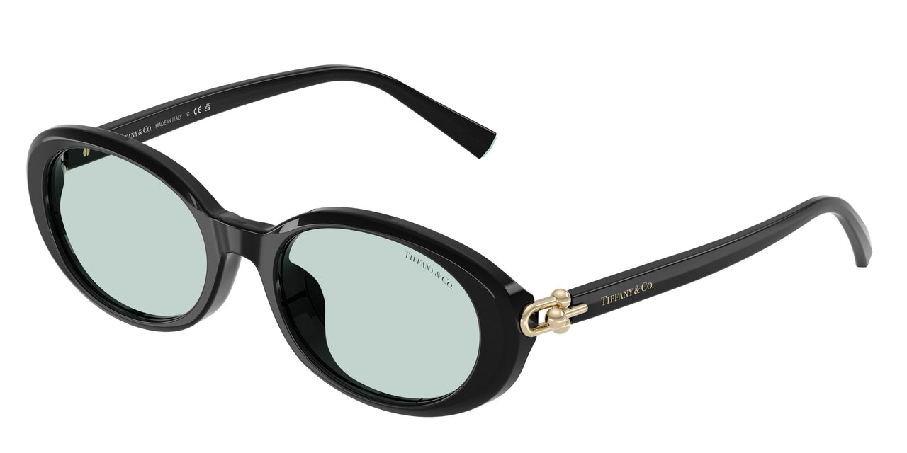 Tiffany 4242D Sunglasses