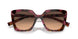18N50C - Brown - Brown Gradient Grey