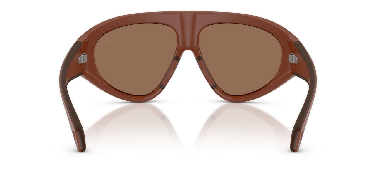 503573 - Brown - Brown Solid
