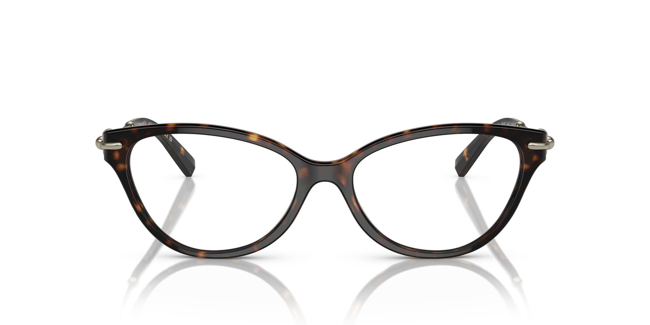 8015 - Tortoise