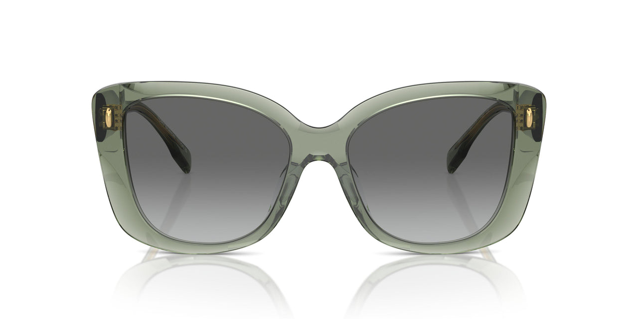 194111 - Green - Light Grey Gradient Dark Grey