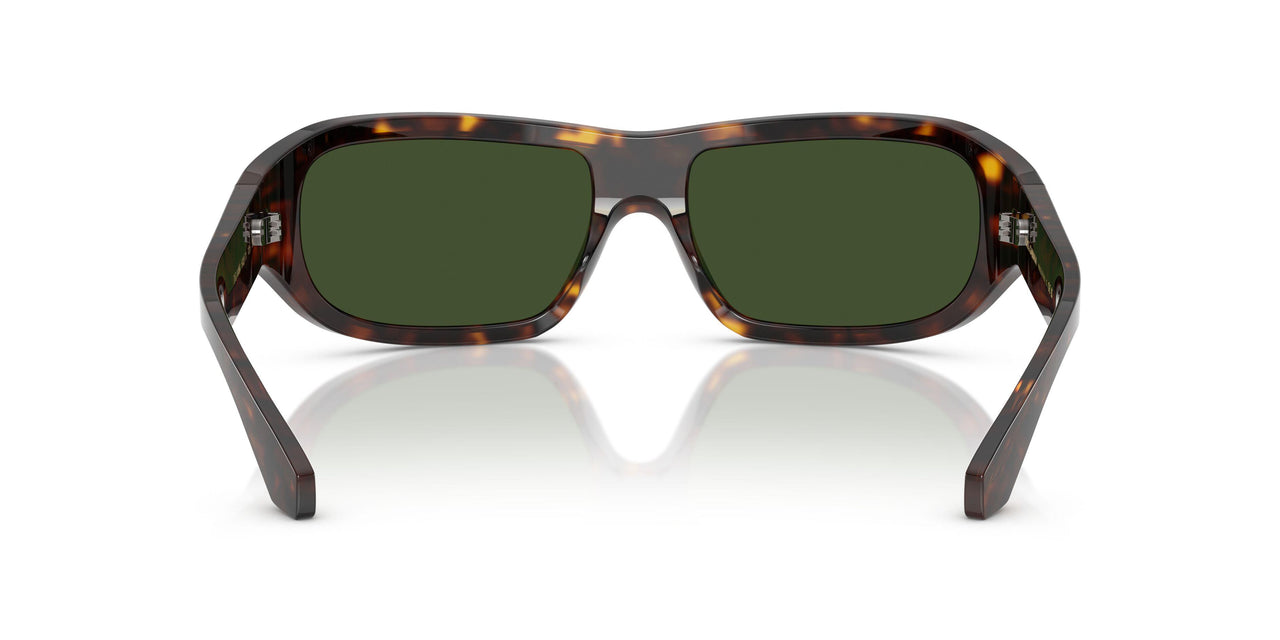 502/71 - Tortoise - Dark Green