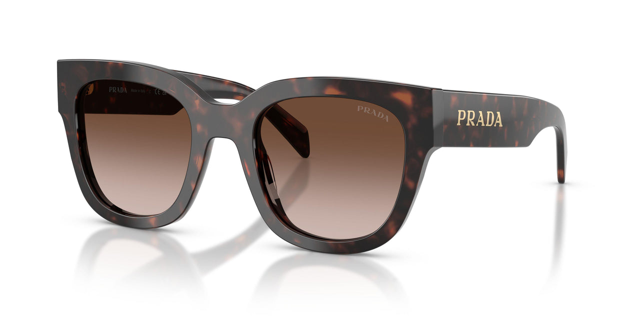 17N80A - Tortoise - Brown Gradient