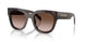 17N80A - Tortoise - Brown Gradient