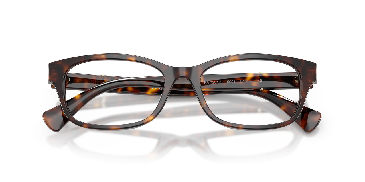 5003 - Tortoise