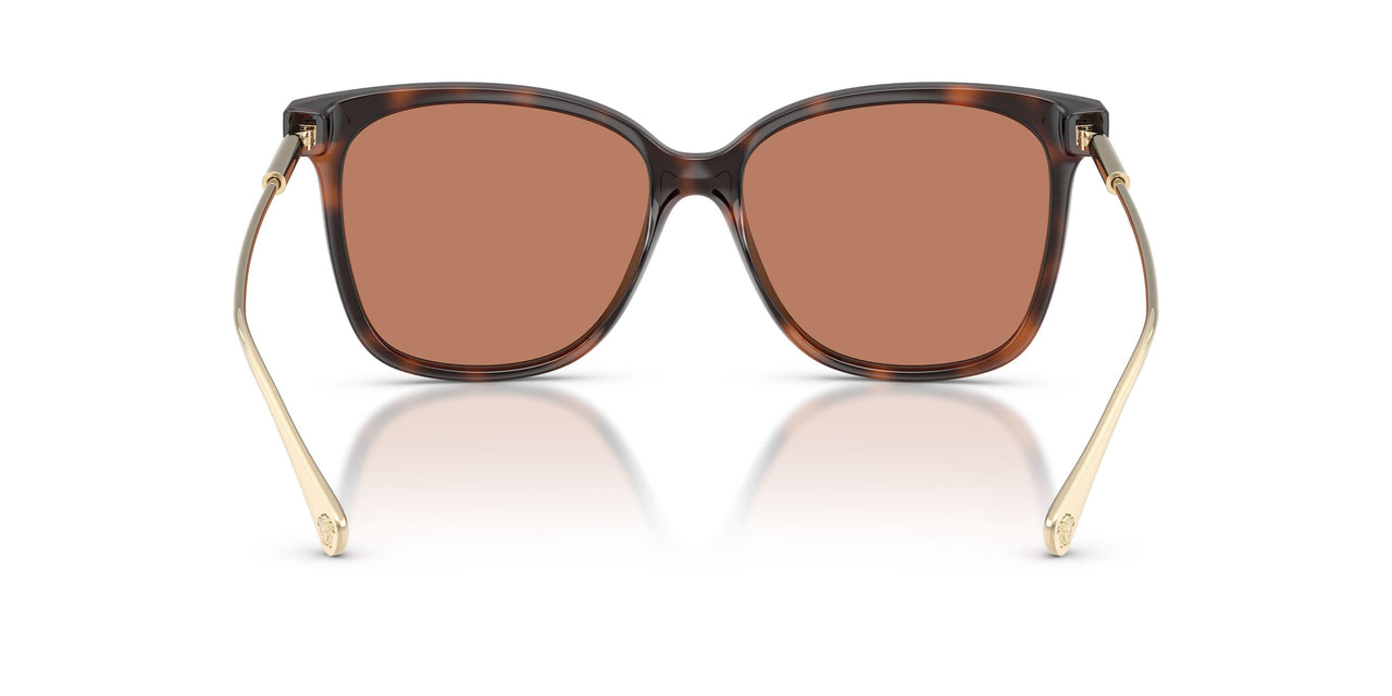 108/73 - Tortoise - Brown
