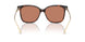 108/73 - Tortoise - Brown