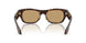 502673 - Tortoise - Brown