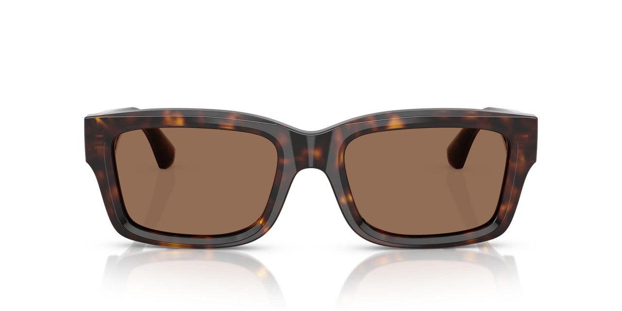 300273 - Brown - Dark Brown