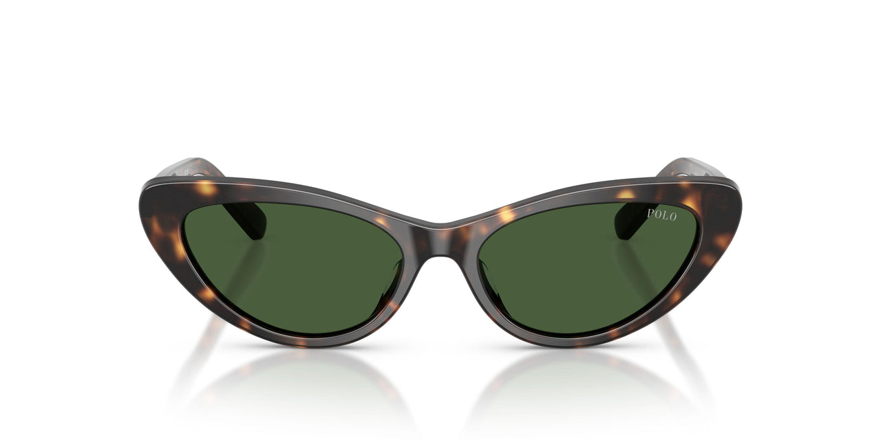 500371 - Tortoise - Bottle Green