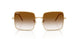 001/CB - Gold - Clear Gradient Brown
