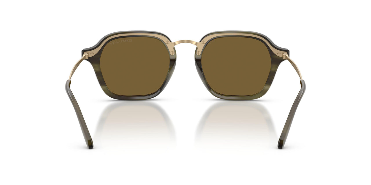 616873 - Green - Dark Brown