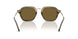 616873 - Green - Dark Brown