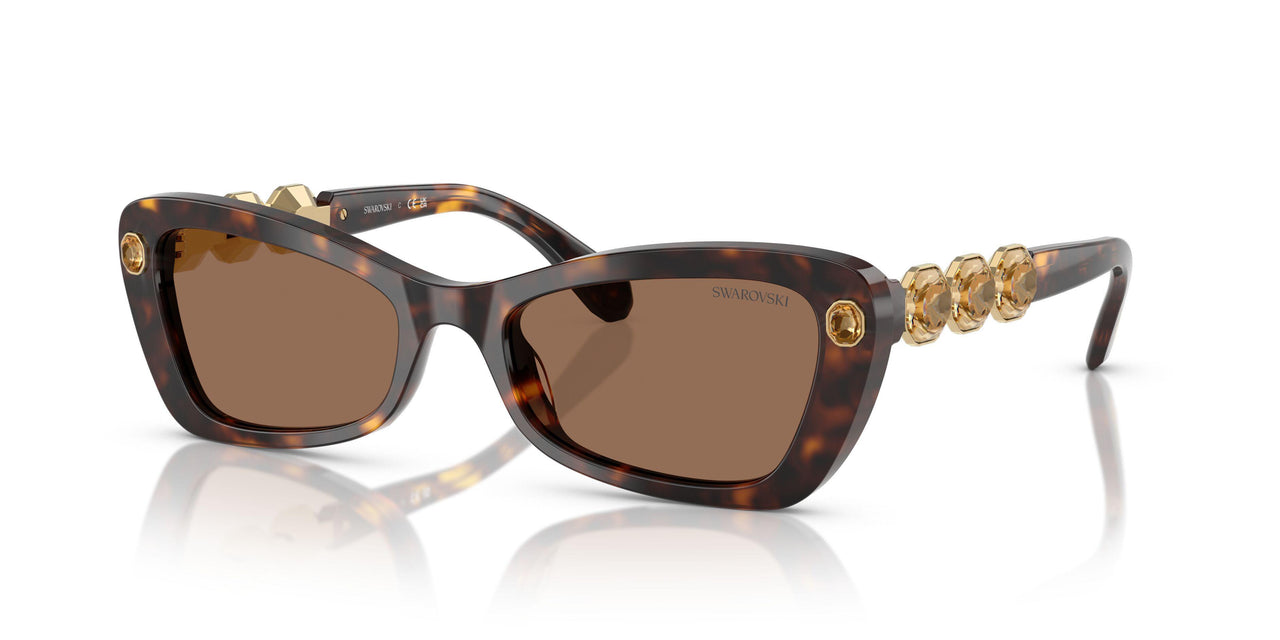 100273 - Tortoise - Dark Brown