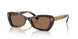 100273 - Tortoise - Dark Brown
