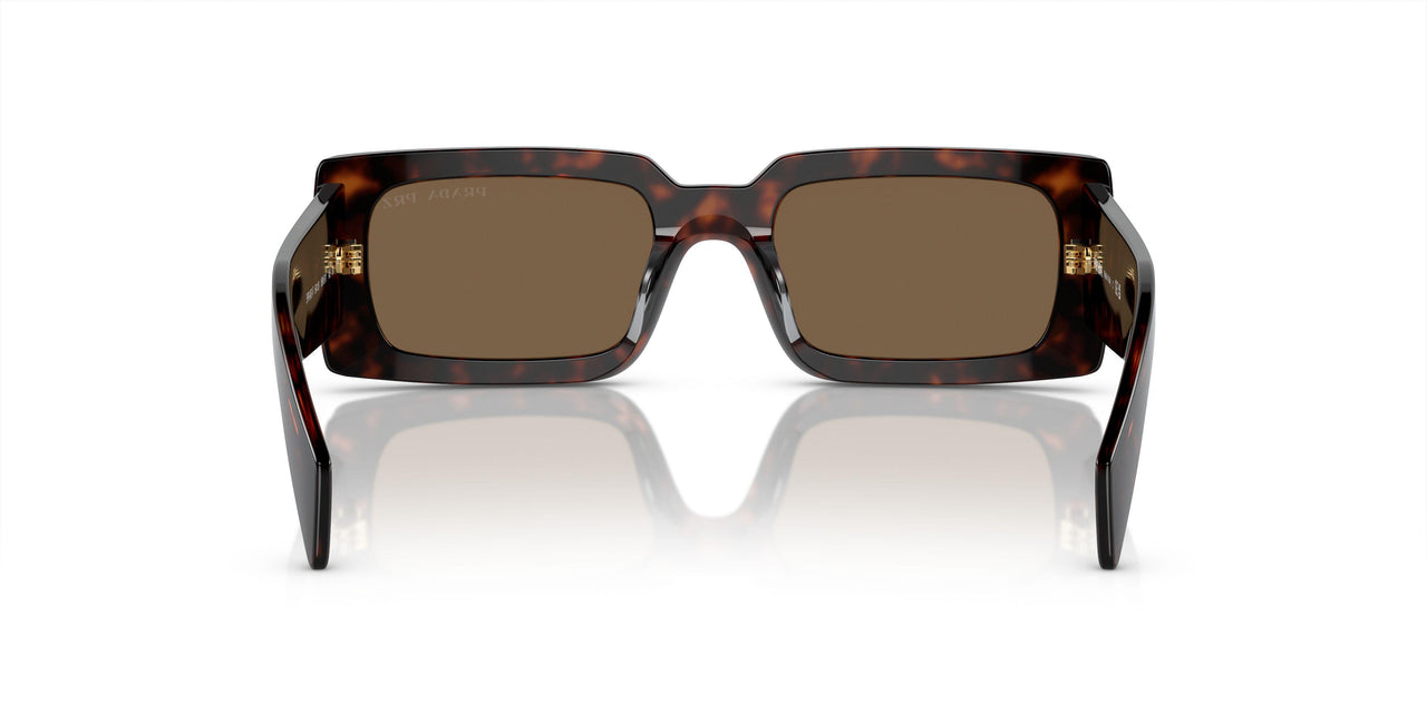 16N5Y1 - Brown - Dark Brown Polar