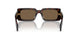 16N5Y1 - Brown - Dark Brown Polar